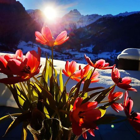 Alpenpension Maderer Gaschurn Εξωτερικό φωτογραφία