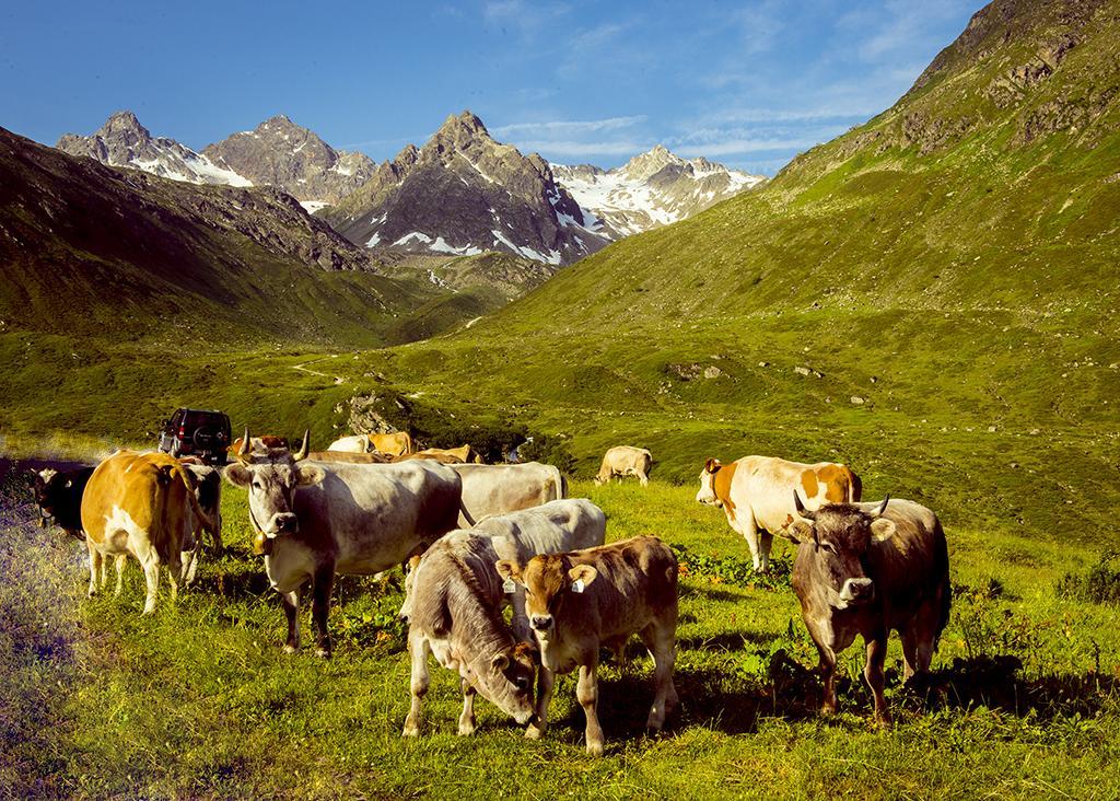 Alpenpension Maderer Gaschurn Εξωτερικό φωτογραφία